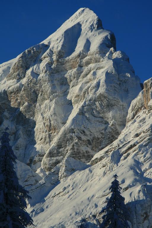 Rifugio Passo Staulanza 호텔 졸도 알토 외부 사진